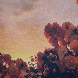 Meet your Posher, Ruhani